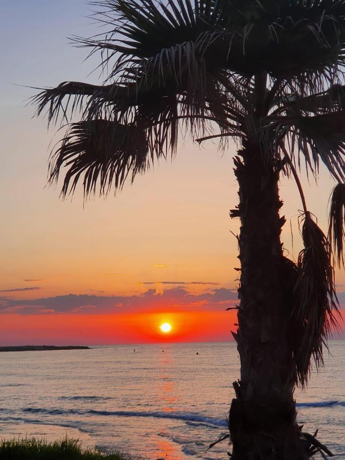 Gemuetliche Ferienwohnung In Torrevieja Ca100M Vom Strand Playa Del Cura Entfernt Eksteriør billede
