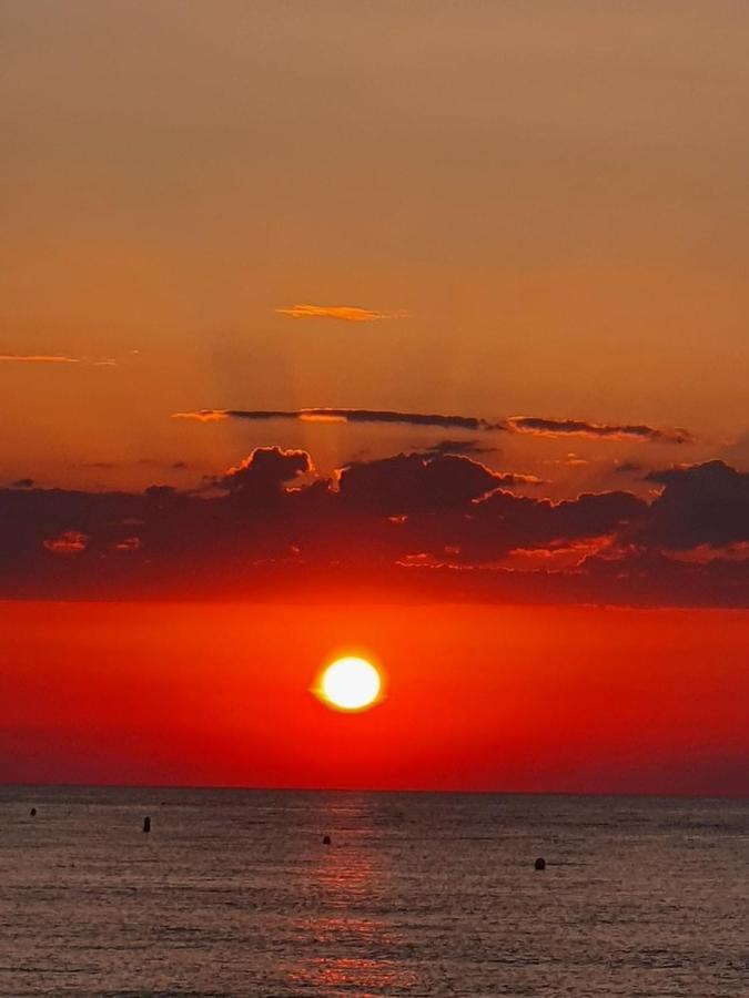 Gemuetliche Ferienwohnung In Torrevieja Ca100M Vom Strand Playa Del Cura Entfernt Eksteriør billede
